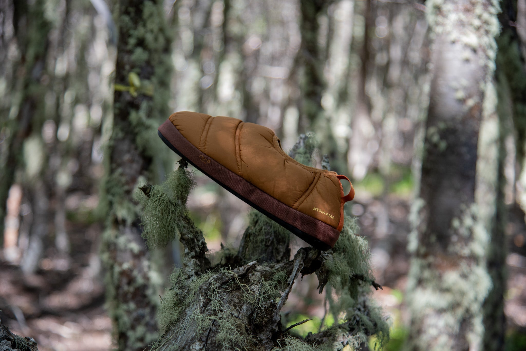Pantuflas térmicas Futaleufú Nu-B Foam Cafe Caramelo