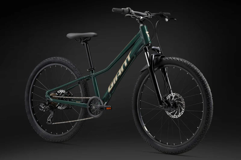 Bicicleta Niño Giant Talon 24 Disc My24 Trekking Green | PREVENTA - ENTREGA Junio 2025