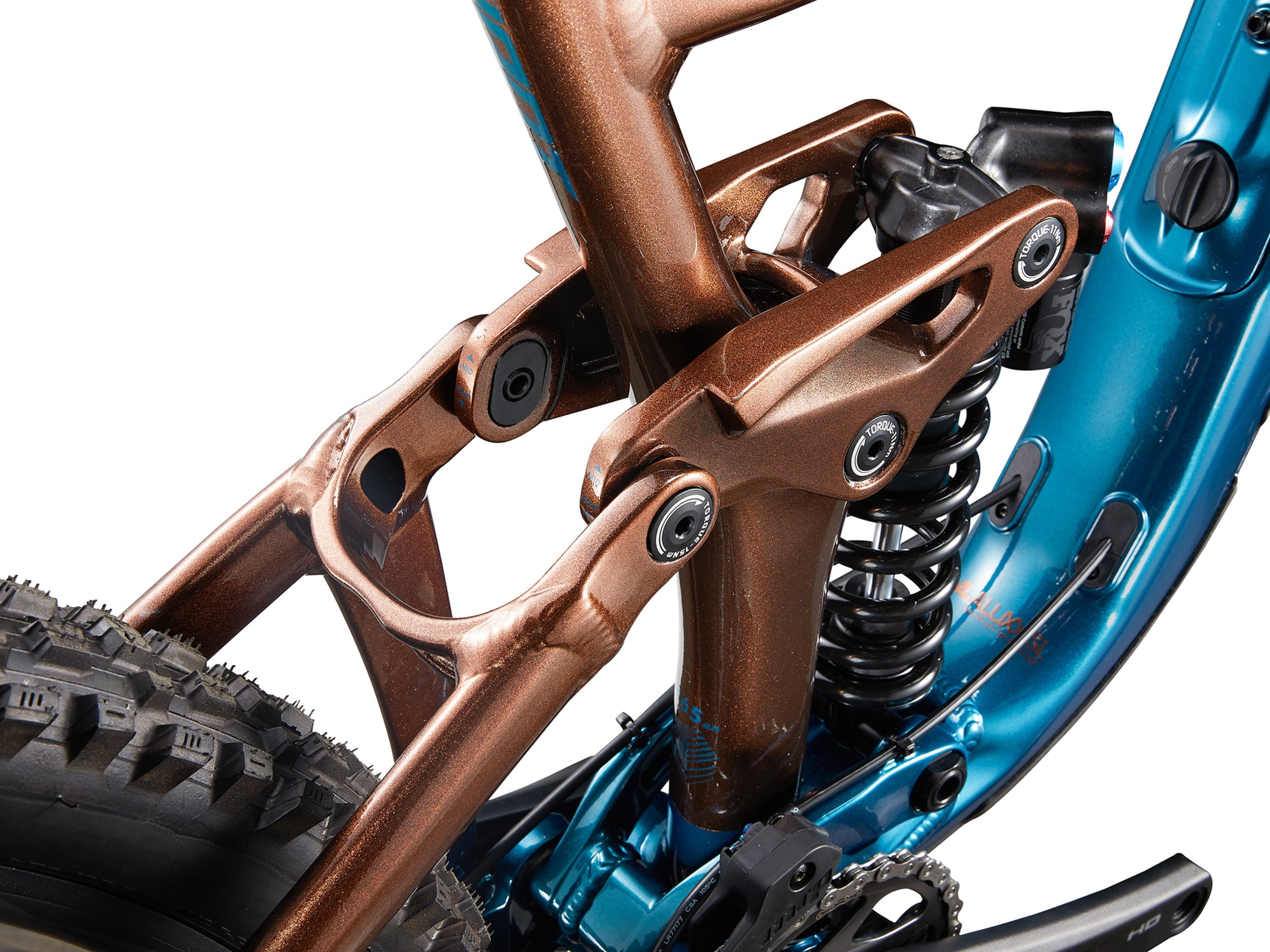 REIGN SX / PREVENTA MAYO