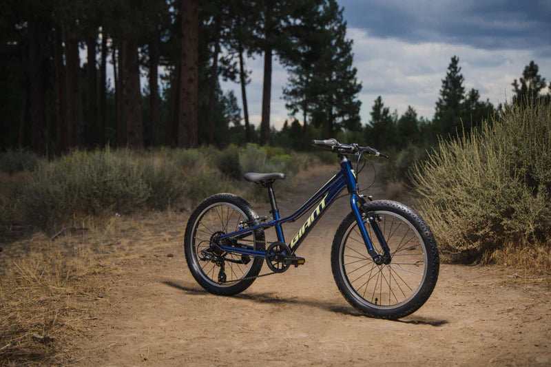 Bicicleta Niño Giant Talon 20 Lite My24 Eclipse