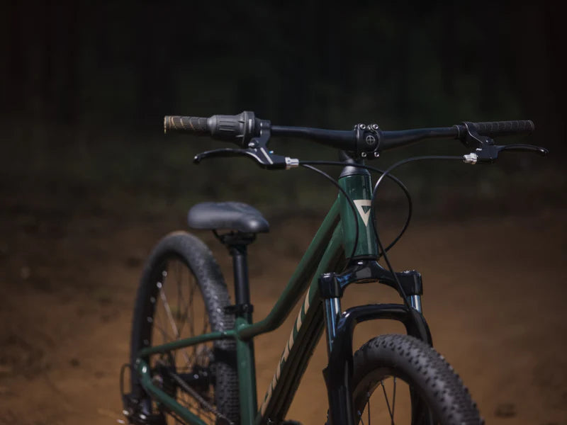 Bicicleta Niño Giant Talon 24 Disc My24 Trekking Green