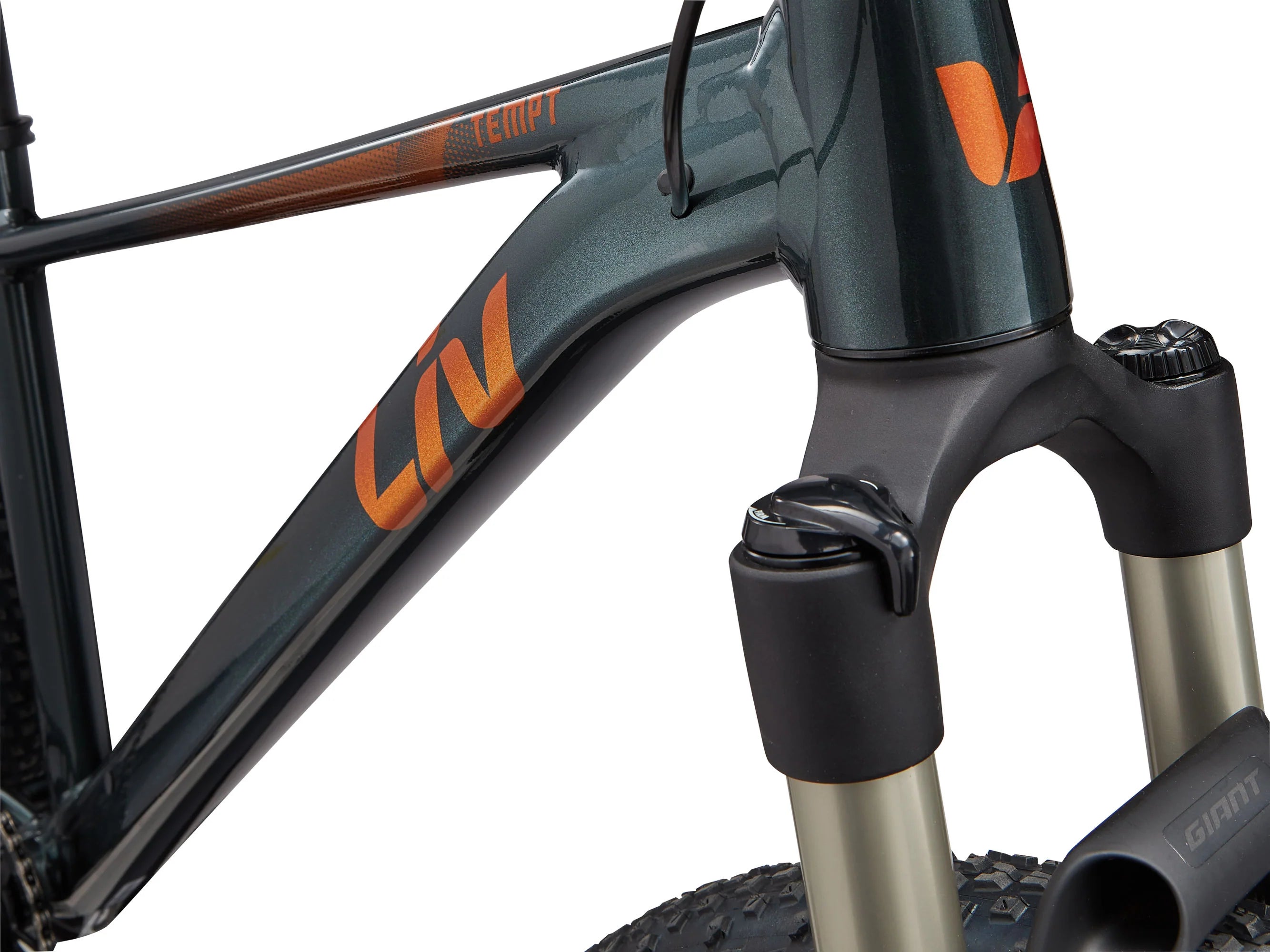 Bicicleta Cross Country Liv Tempt 0 Asphalt Green Gloss | Preventa - Entrega Junio 2026