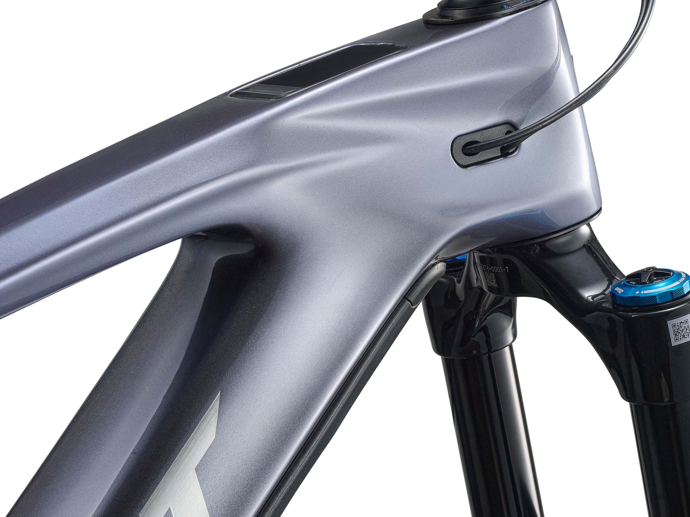Bicicleta Giant Reign Advanced E+ 1 Mercury / Carbon Smoke [Preventa Octubre 2026]