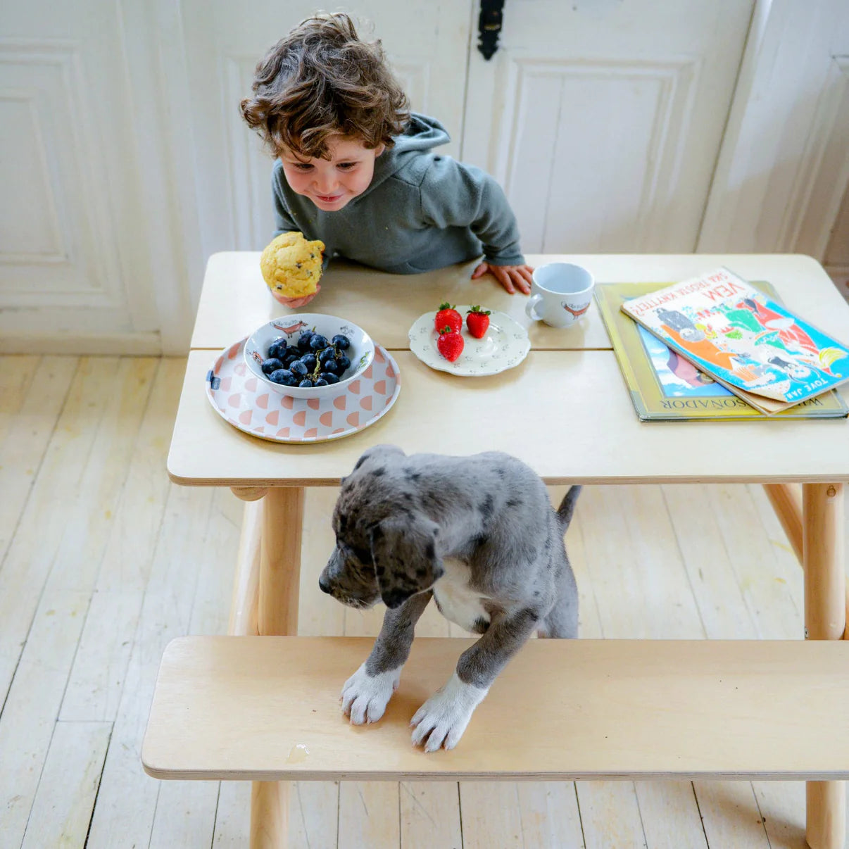 Roda Mesa Picnic - Rideshop