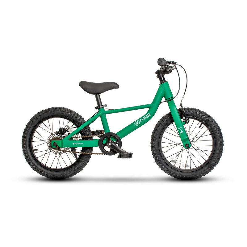 Roda Bicicleta Pro Series Aro 16 | Verde - Rideshop