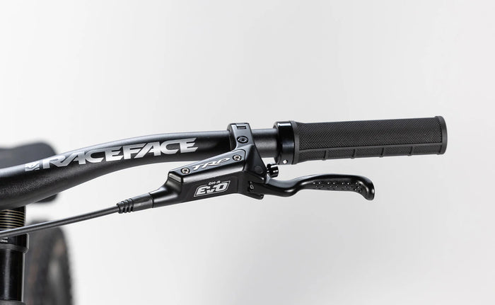 Bicicleta DH 29" Polygon Collosus DH9 Blue