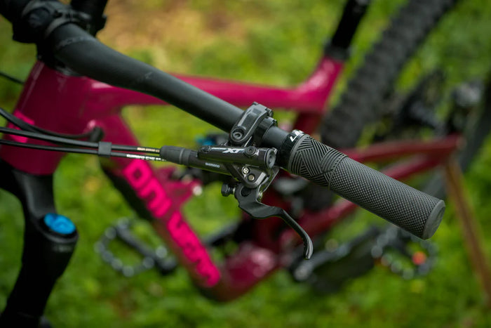 Bicicleta Polygon Collosus N9 Purple