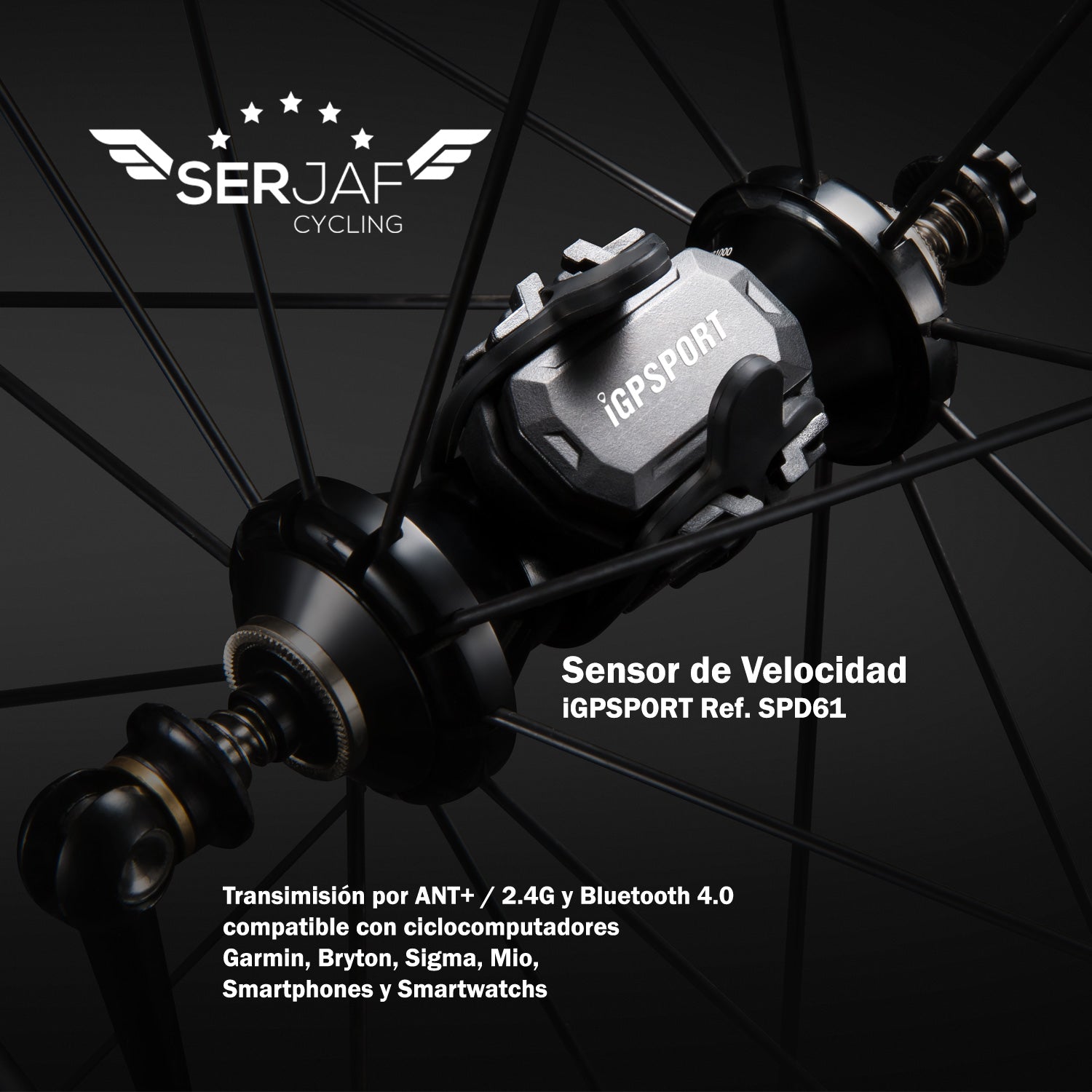 Pack Banda Cardiaca y Sensor Cadencia iGPSPORT