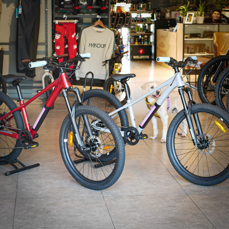 Bicicleta MTB Dominate Kids Aro 24" Grey