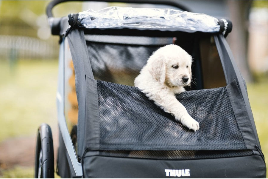 Thule Adaptador Carrito Courier Para Perros - Rideshop
