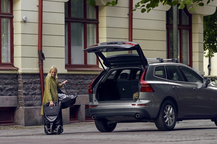 Thule Coche Spring | Misty Rose on Black - Rideshop