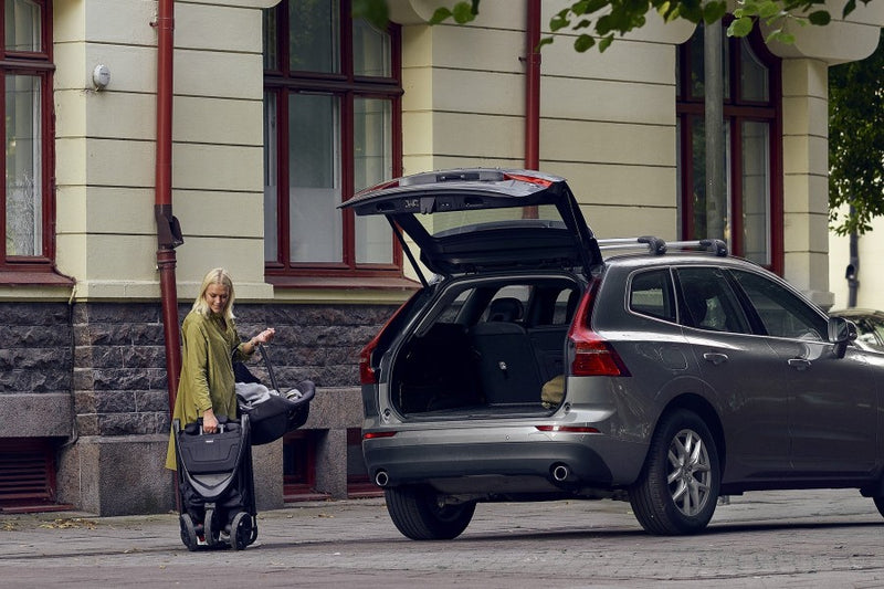 Thule Coche Spring | Misty Rose on Black - Rideshop