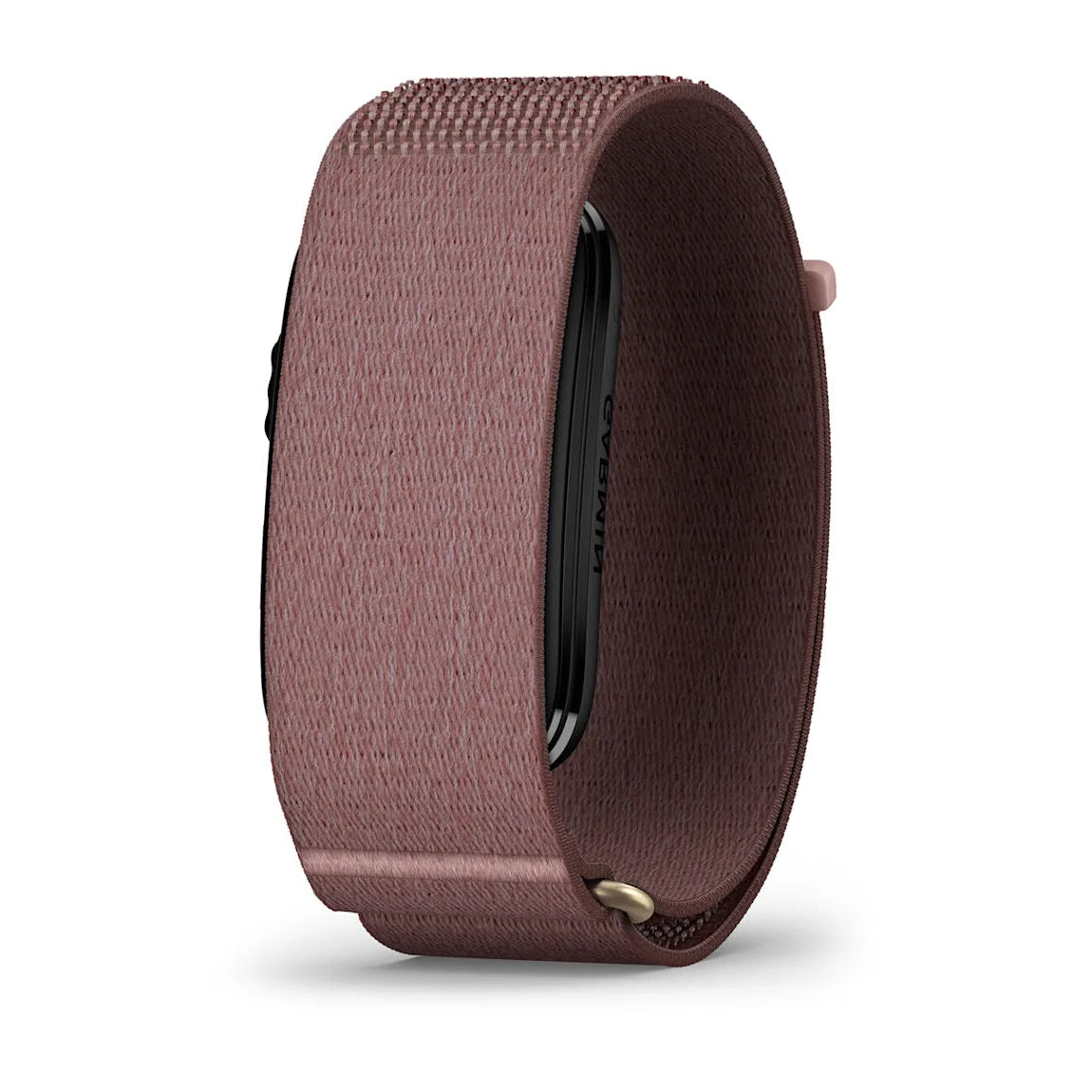 Monitor Garmin CIRQA Smart Band | Preventa - Entrega Agosto 2026