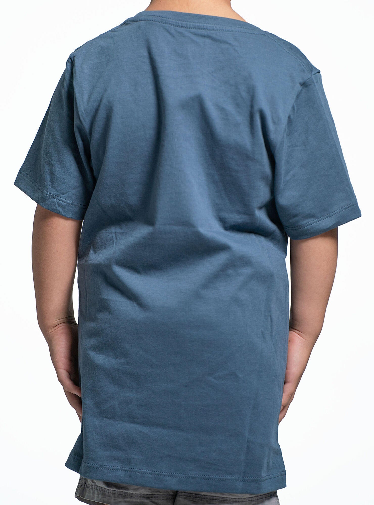 Polera Lifestyle Infantil Legacy Head Azul Fox