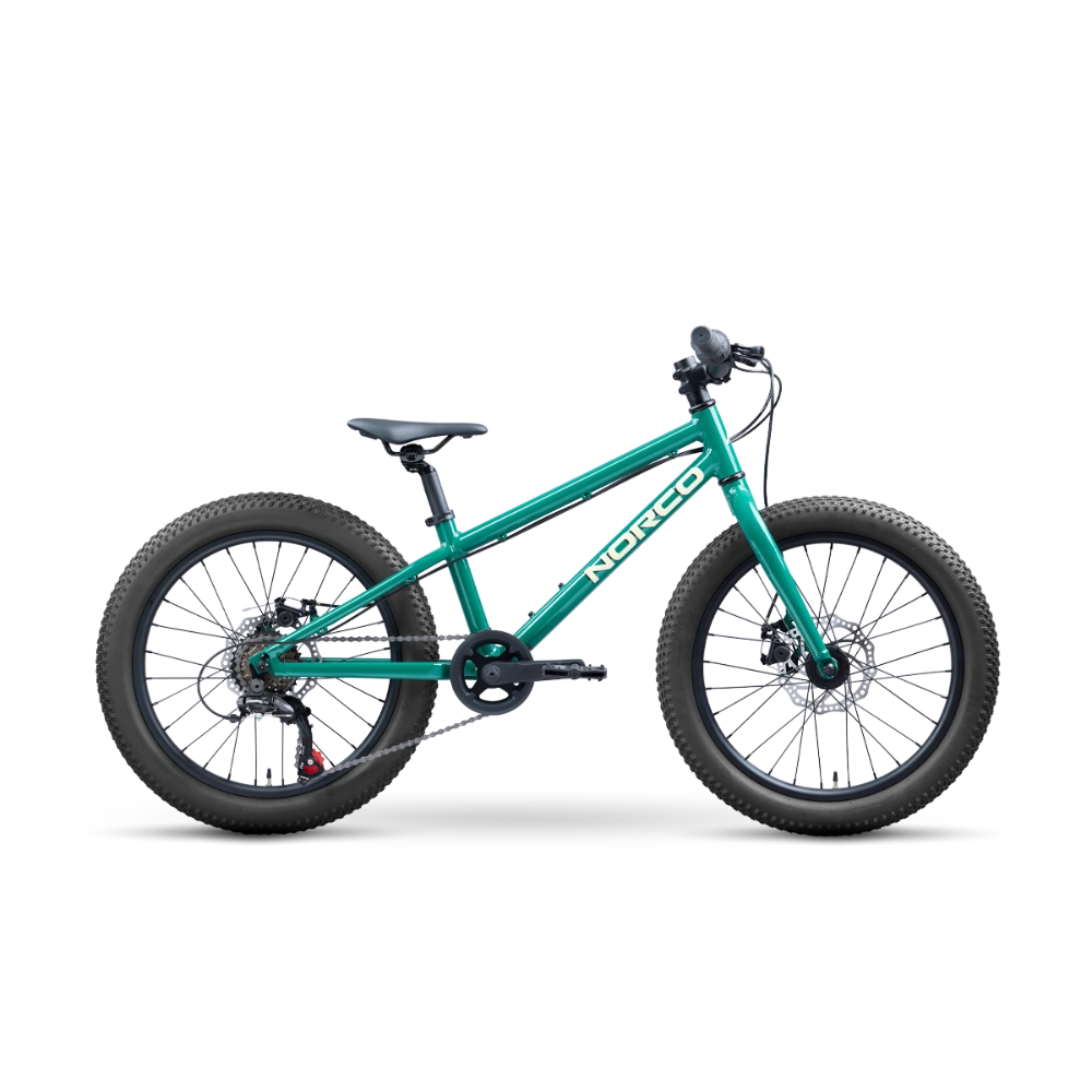 Bicicleta Niño Storm 20 Disc Verde Norco
