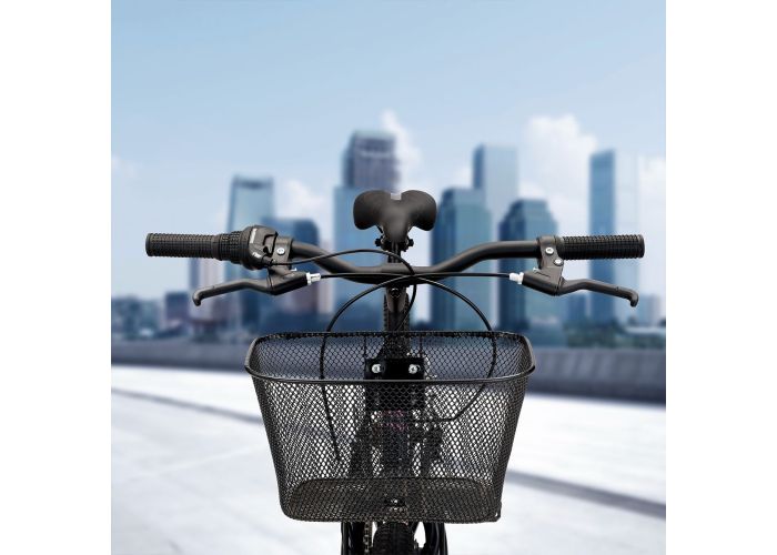 Oxford Luna 24 6V Negro - Rideshop