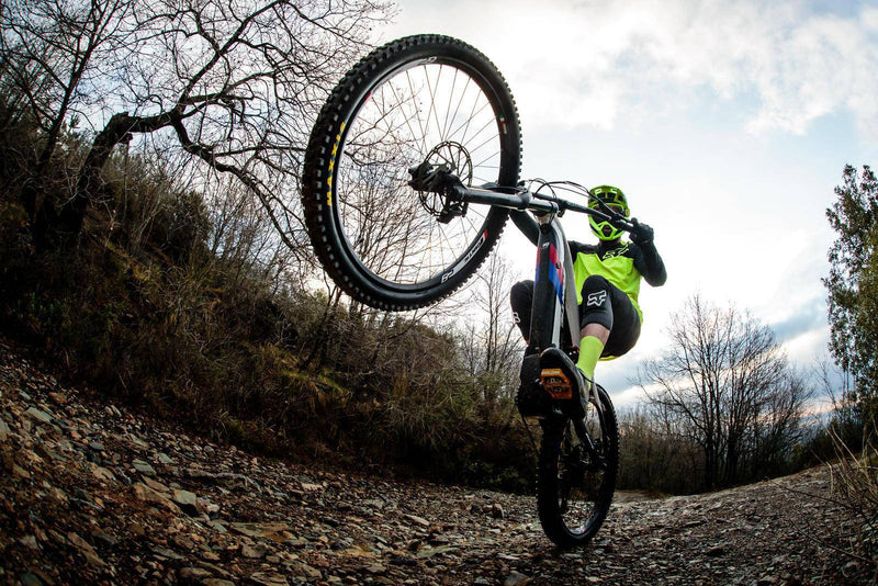 Bicicleta FX1 Integra 160 Fantic (Carbon)-Rideshop